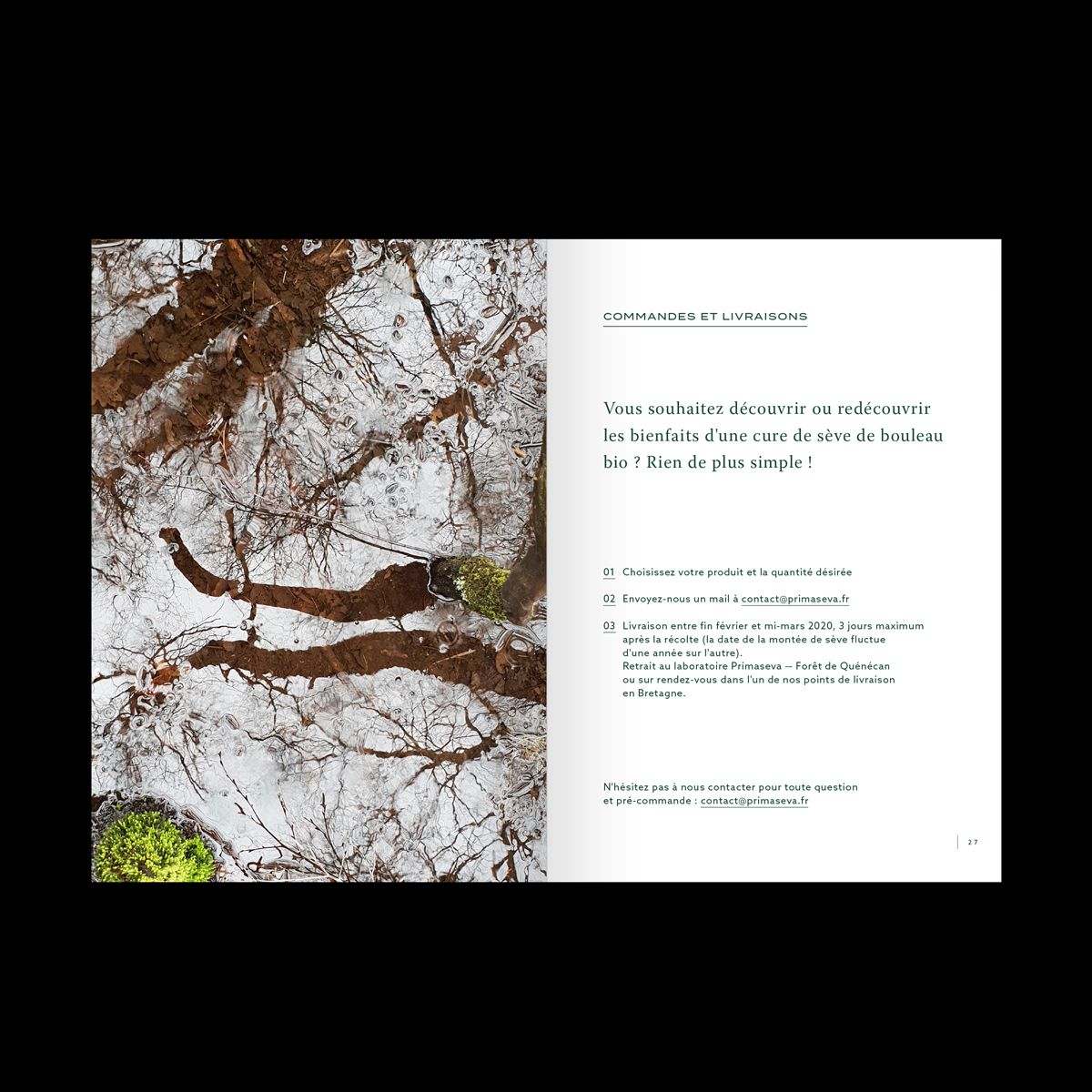Image for Primaseva