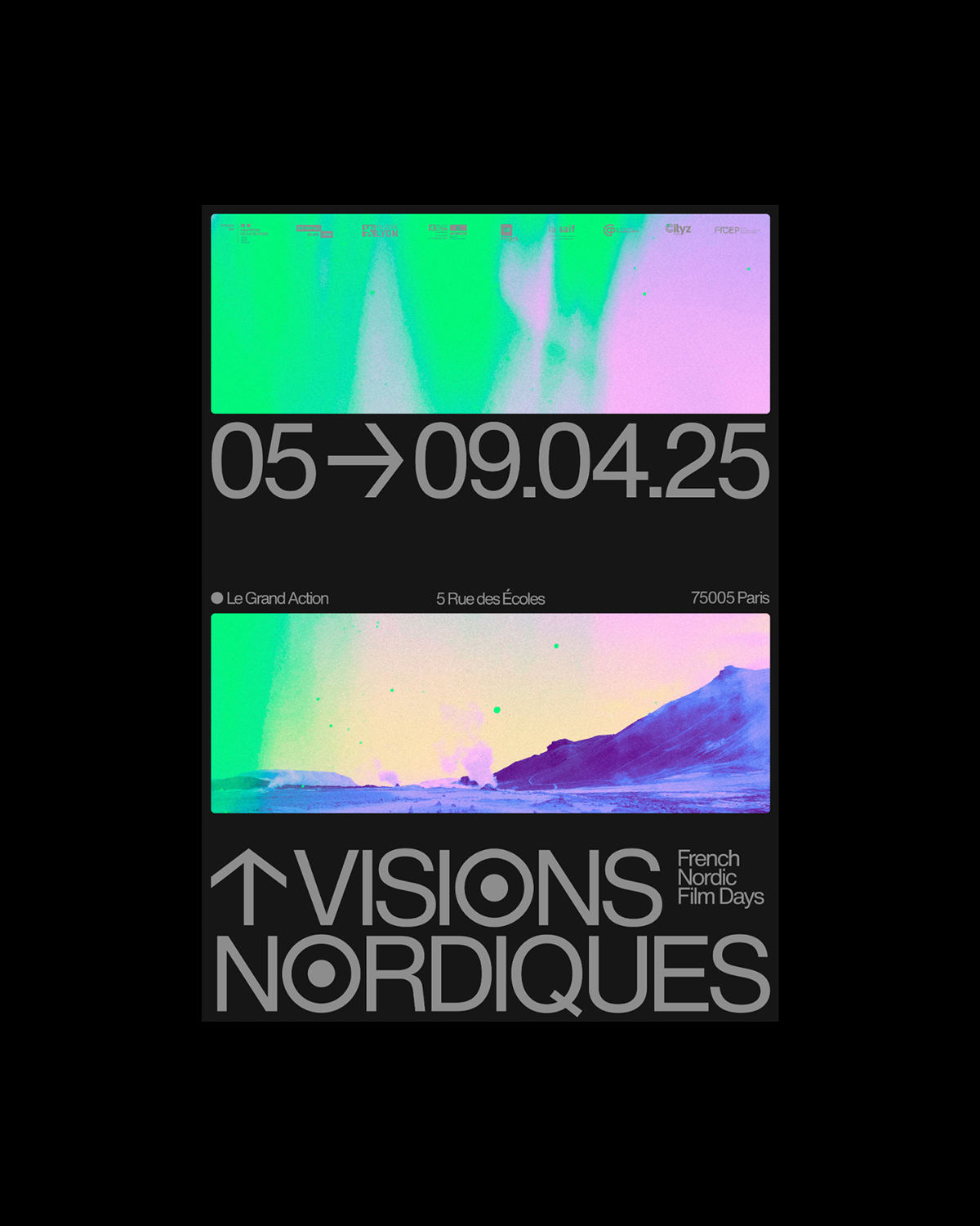 Image for Visions Nordiques