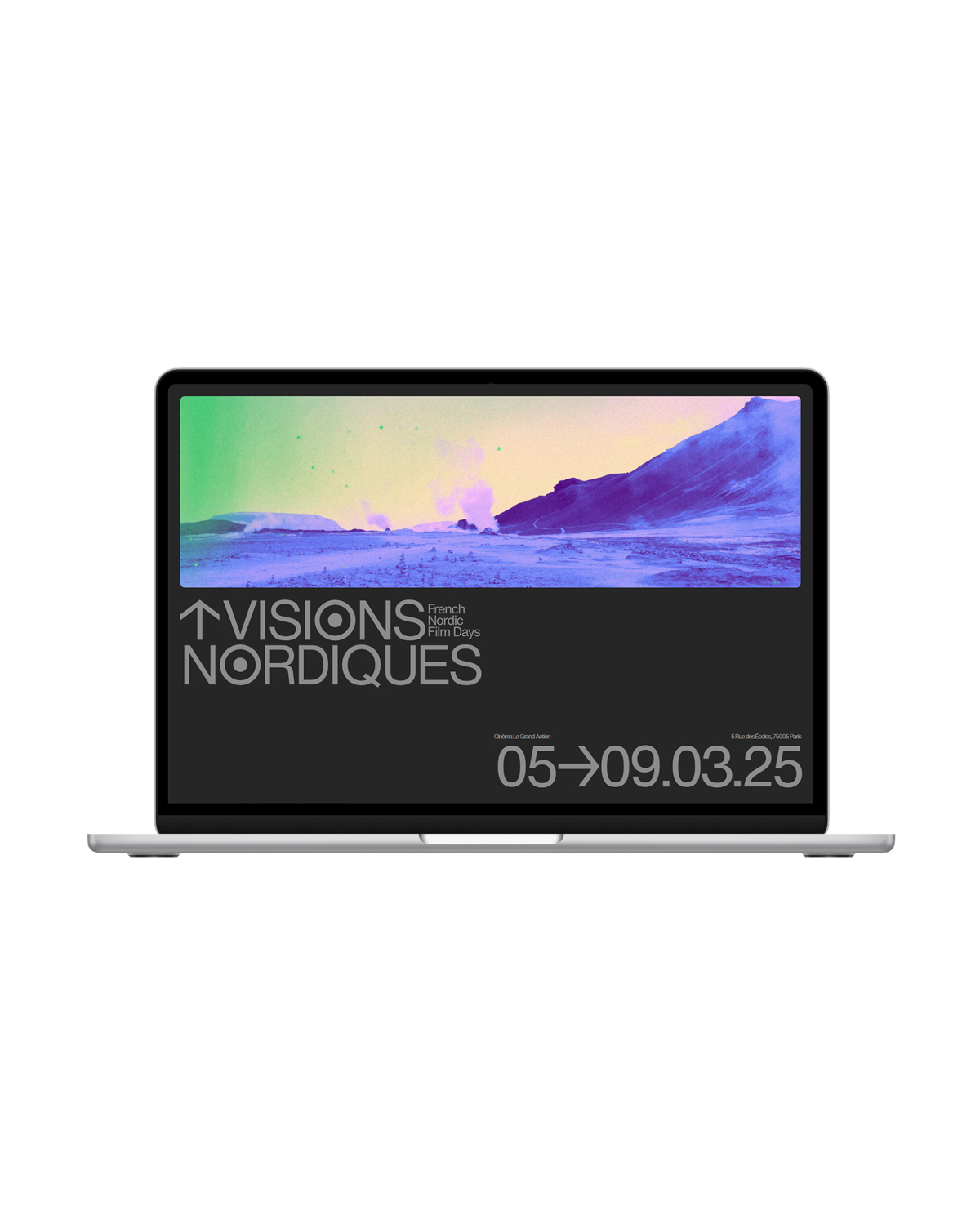 Image for Visions Nordiques