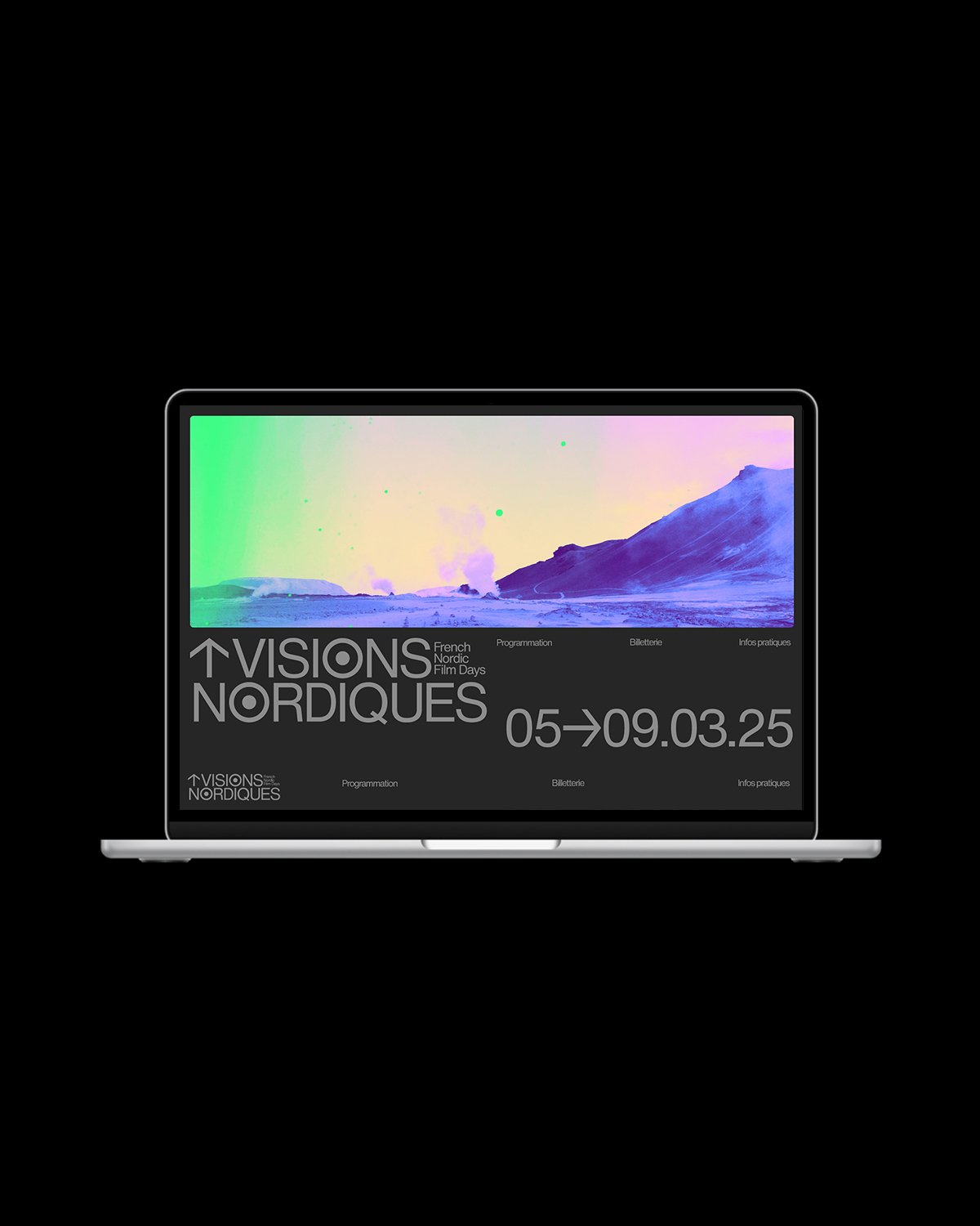 Image for Visions Nordiques